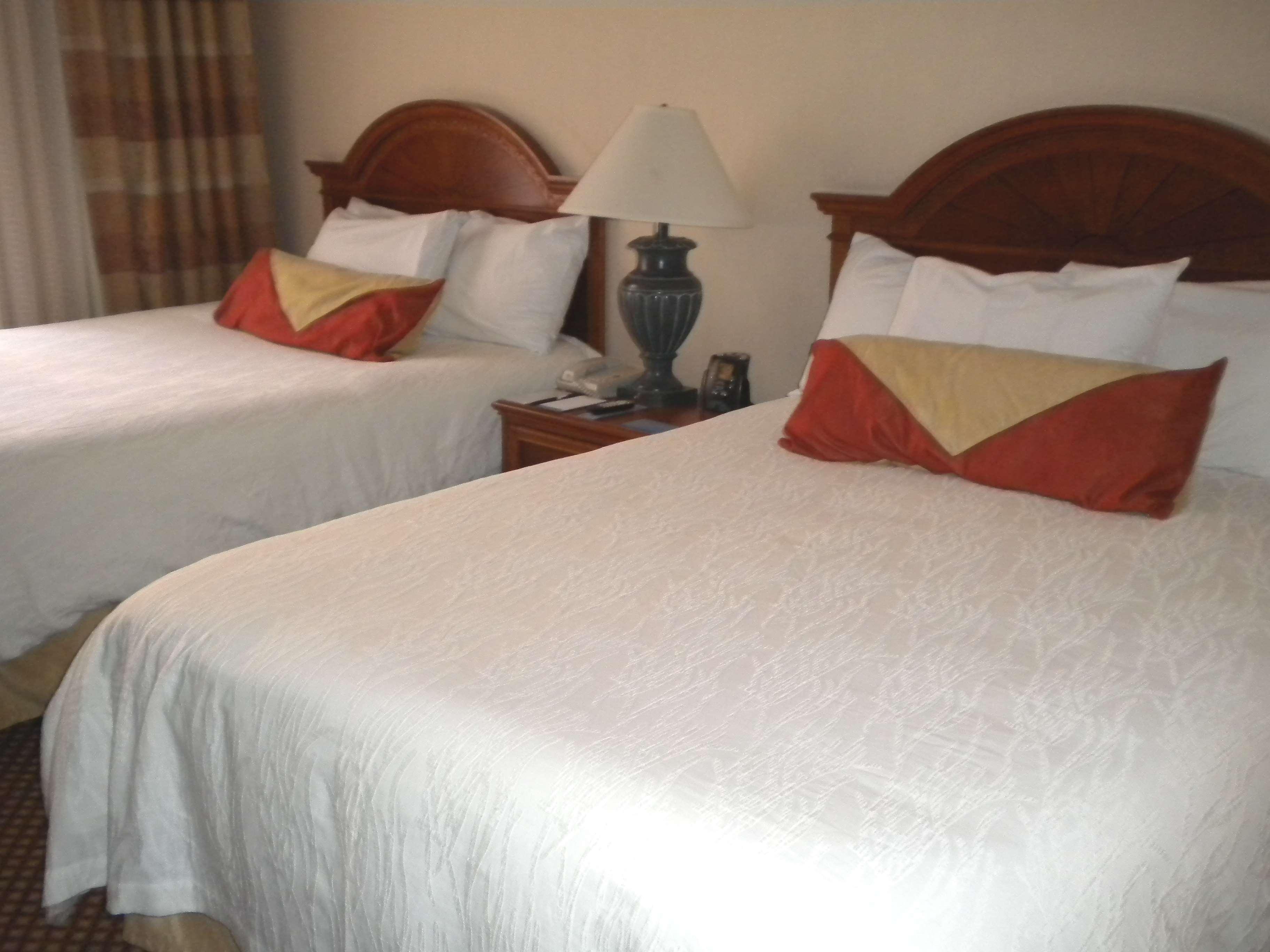 Hilton Garden Inn וויליאמסבורג חדר תמונה